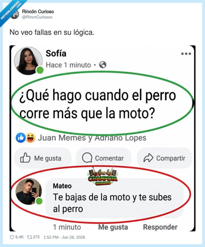 perro,moto,lógica,respuesta,chiste